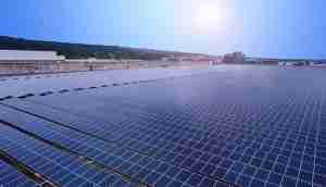 中美硅晶与www.z6.com光电携手战略合作